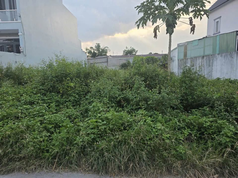 Đất nền Củ Chi 125m² giá 2.7 tỷ - Sổ đỏ chính chủ