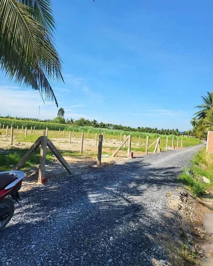 Đất nền Gò Công Tây, Tiền Giang - 350 Triệu/Nền, Sổ Hồng Riêng