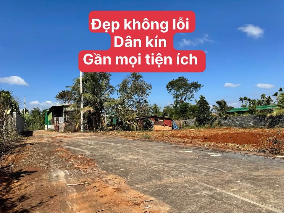 Đất Nền 125m² TL8 Đà Lạt - Sổ Hồng Riêng, Giá 1.199 Tỷ Đầu Tư Sinh Lời