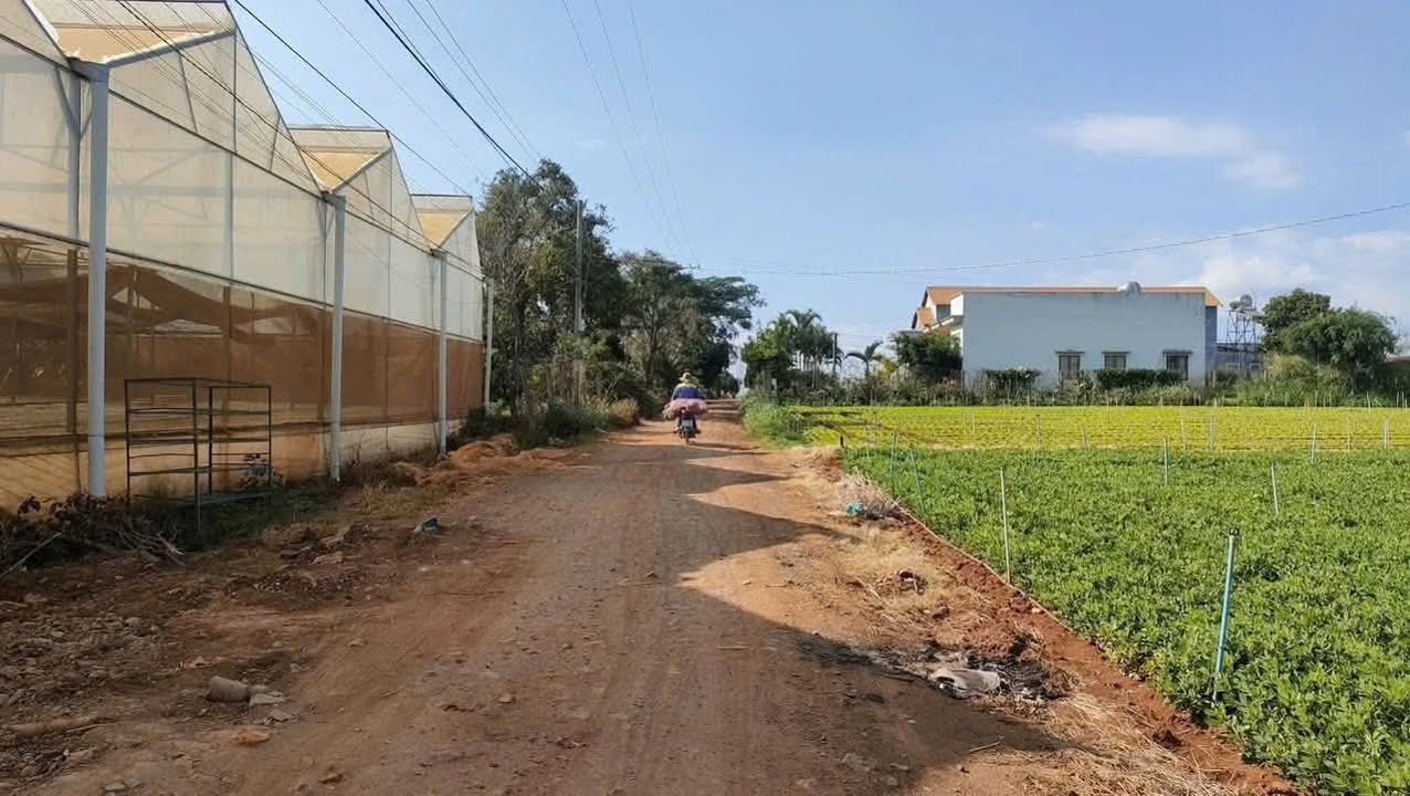 Đất nền Trạm Hành Đà Lạt 21600m² 2.2 tỷ - Giá tốt hiếm có