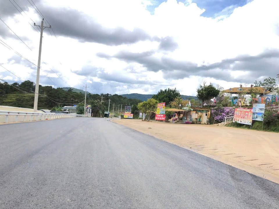 Đất Mặt Tiền Cam Ly Đà Lạt 476m² - View Rừng Thông, Kinh Doanh Homestay