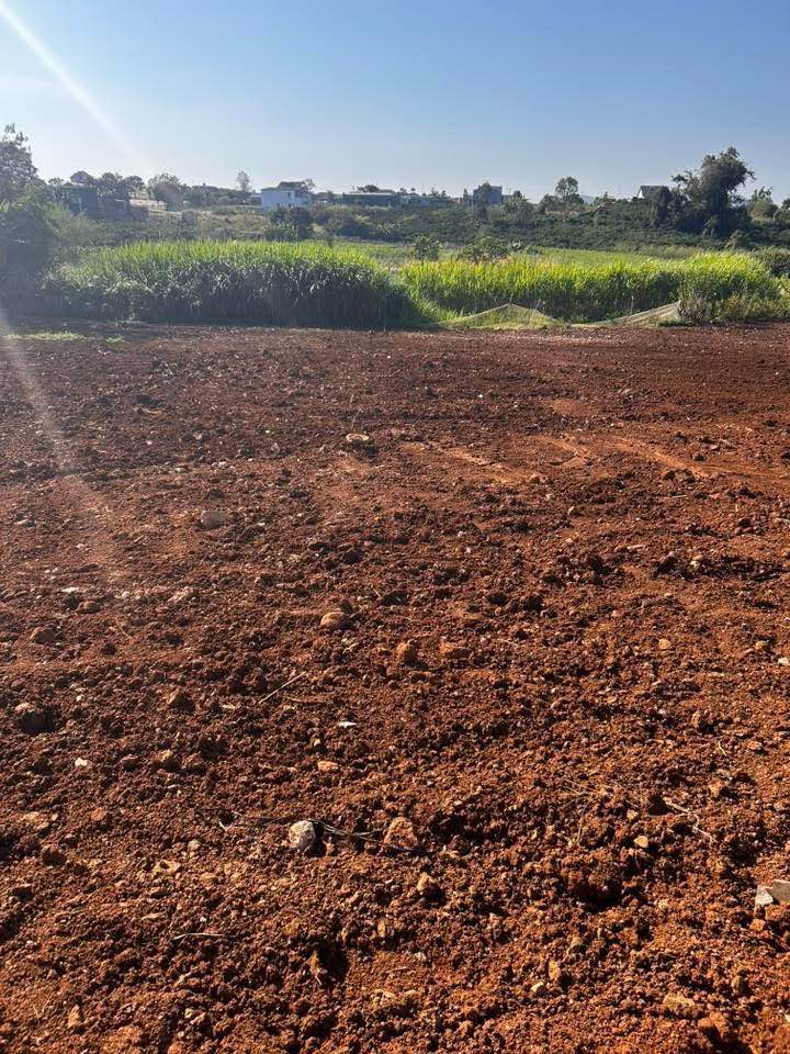 Đất nền 75m² Đức Trọng, Lâm Đồng - Sổ đỏ chính chủ, giá 680 triệu