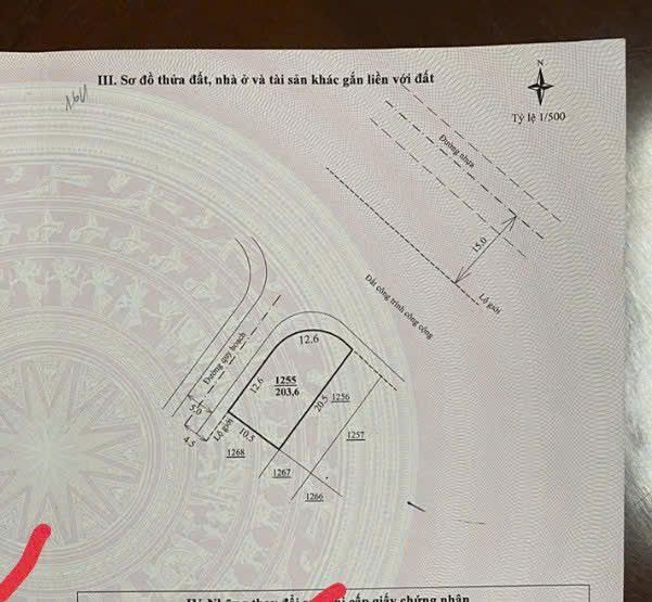 Đất nền 215m² Phú Lộc, Đức Trọng - Sổ đỏ chính chủ, vị trí vàng!