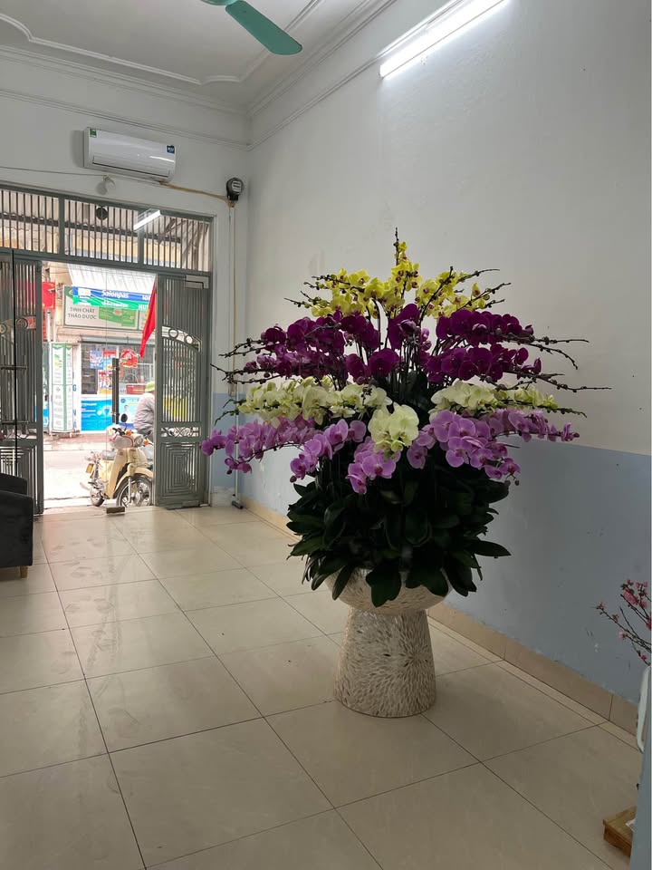 Cửa hàng 25m² 619 Bạch Đằng, Hoàn Kiếm - Mặt tiền kinh doanh sầm uất!