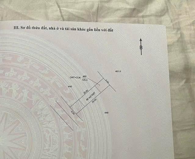 Đất nền Đông Hòa Phú Yên 125m² giá 595 triệu - Sổ đỏ chính chủ