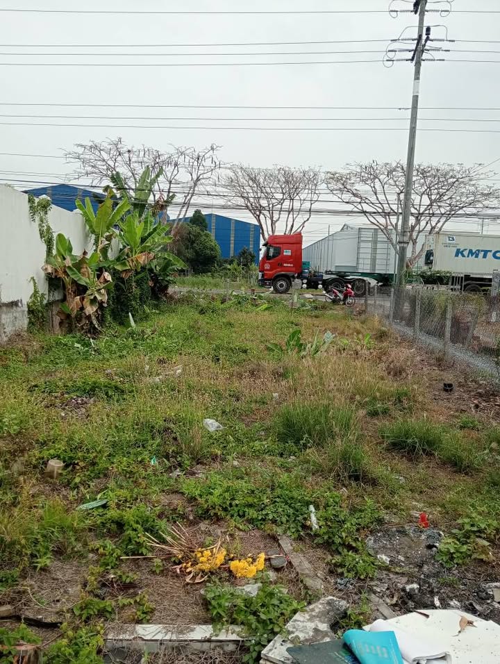 Đất Nền Lấp Vò 216m² Sổ Đỏ - Mặt Tiền 8.9m Đường Hoa Phượng