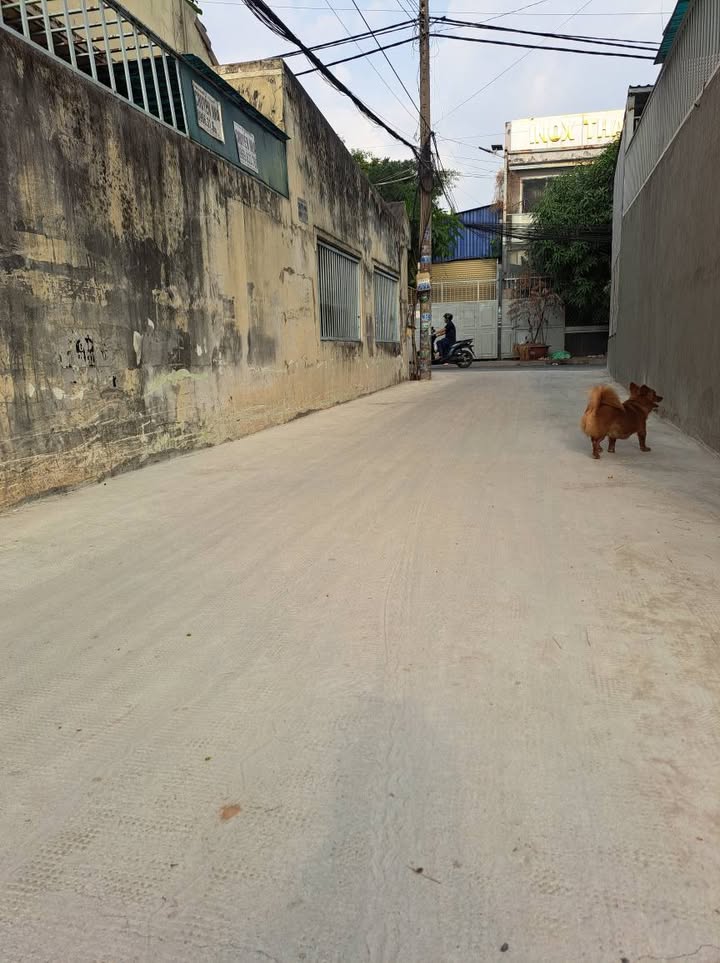 Đất nền Hóc Môn 90m² - Sổ đỏ chính chủ, đường ô tô vào tận nơi!