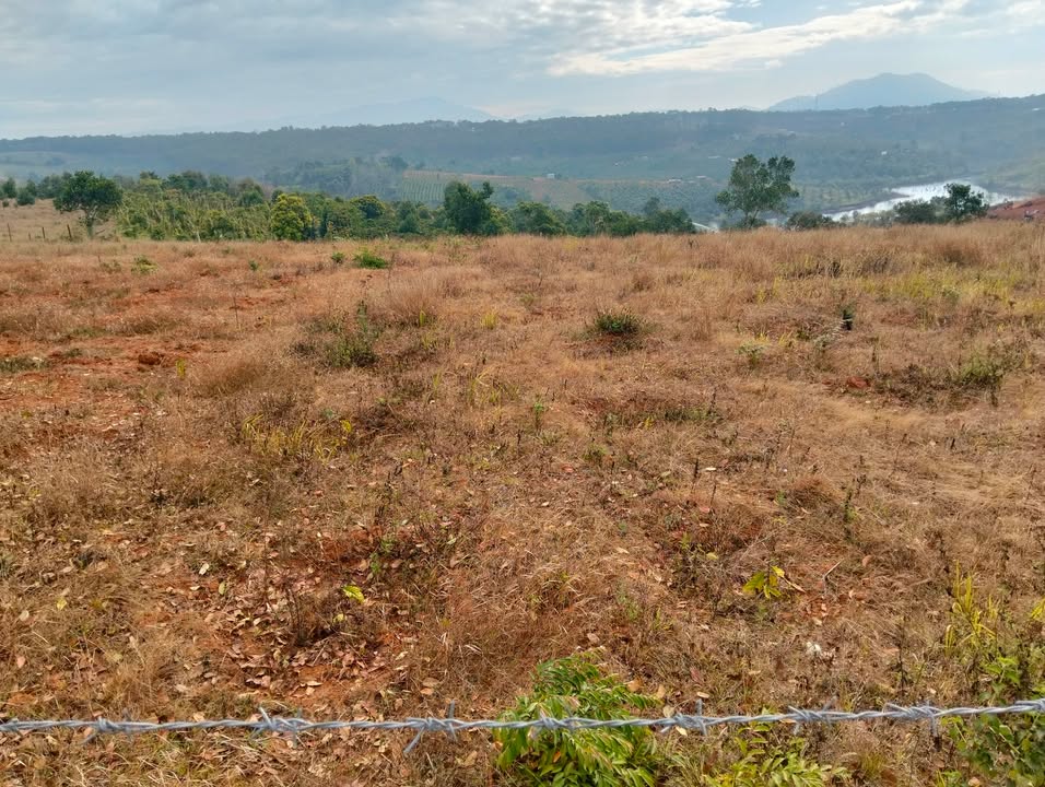 Đất nền Đắk N'Dung 1000m² - Sổ đỏ chính chủ, đường ô tô!