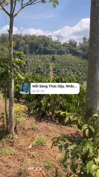 Đất nền Đắk Nông 9000m² giá chỉ từ 600 triệu - Đầu tư sinh lời