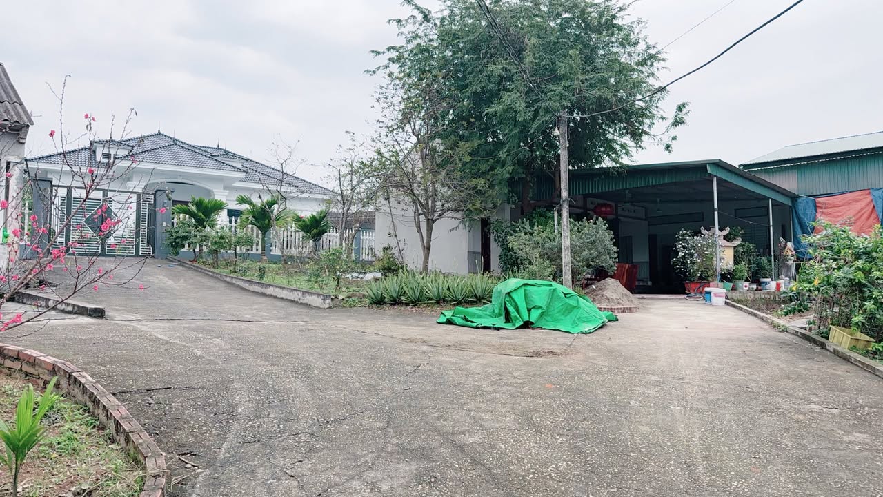 Bán đất nền 124.4m² Phú Thọ - Gần chợ, UBND Xã Văn Lung