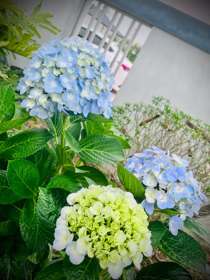 Đất nền Đồng Phú Kỳ Anh 280m² - Sổ đỏ chính chủ, vị trí vàng!