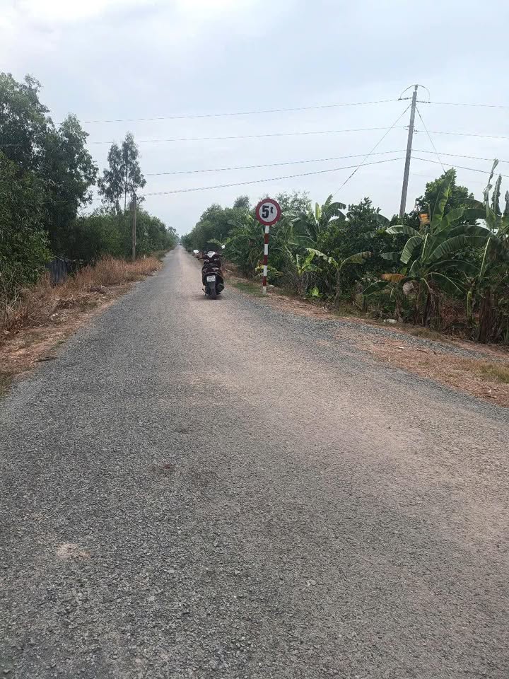 Bán Gấp 3 Công Đất Mặt Tiền Lộ Xe Hơi - Tân Thạnh, Long An