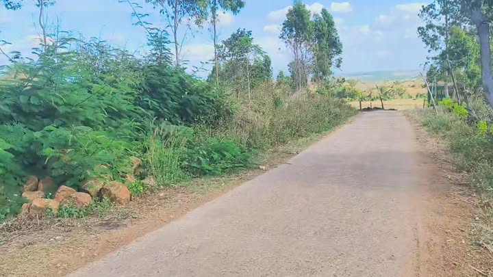 Đất Nông Nghiệp 2.7ha Gia Lai - Sẵn Sàng Đầu Tư & Canh Tác