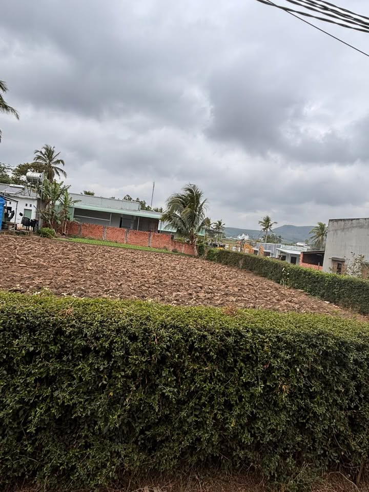 Bán Đất 160m² Thị xã An Khê - Sổ Đỏ Chính Chủ, Giá 620 Triệu