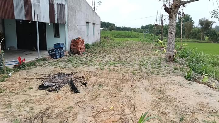 Bán Gấp Đất Mặt Tiền Trần Văn Thiều, An Khê - 100m² Thổ Cư