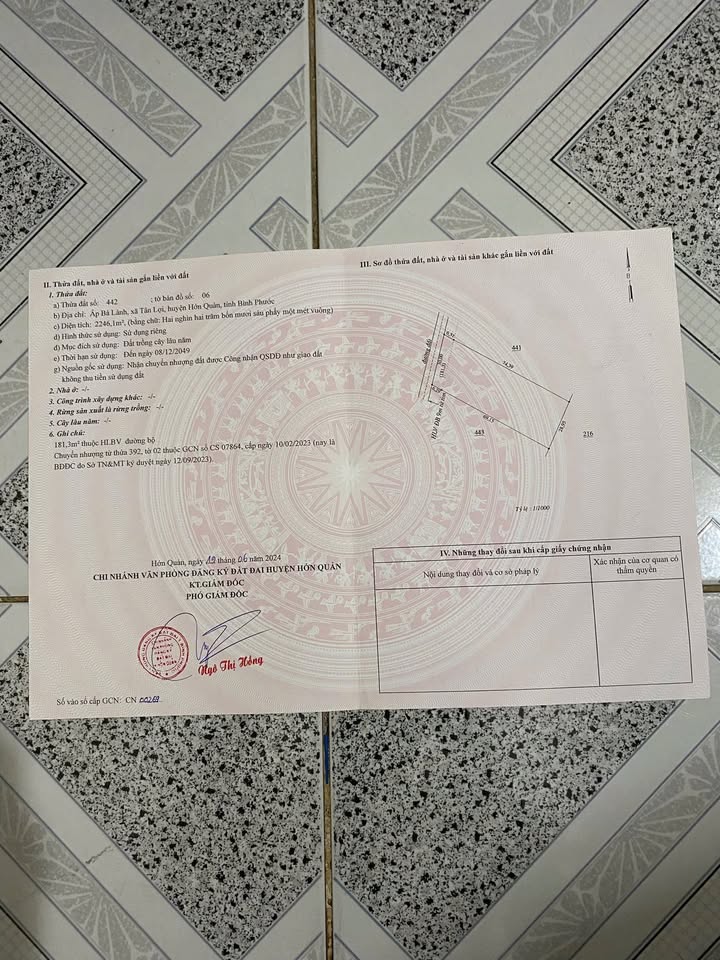 Đất Vườn Tân Lợi, Hớn Quản 792m² - Giá tốt, nghỉ dưỡng lý tưởng!