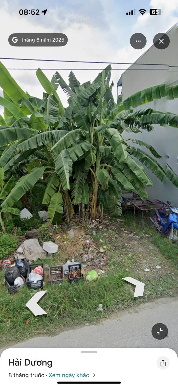 Đất Mặt Đường Gia Lộc, Hải Dương - 80.2m² - Kinh Doanh/Đầu Tư Hời