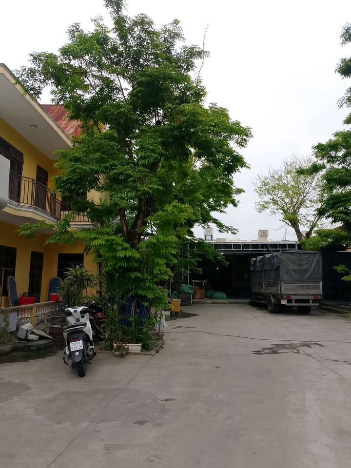 Kho xưởng 350m² Trinh Đường, Đà Nẵng - Sẵn sàng hoạt động ngay!