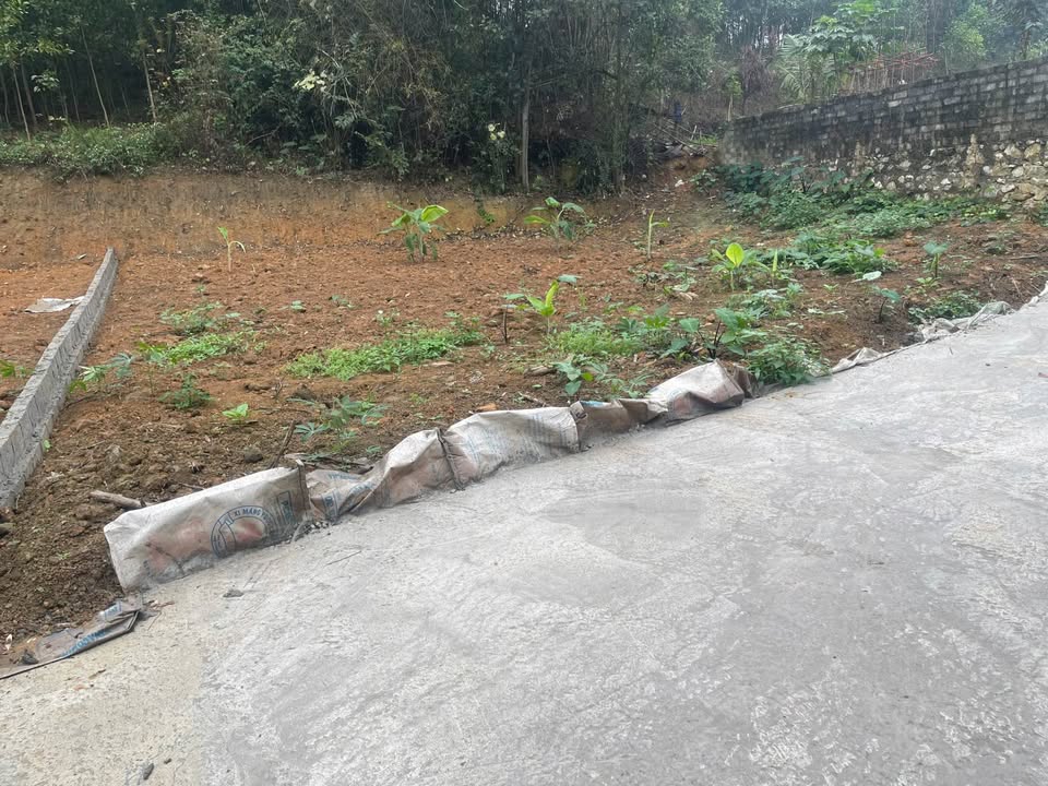 Bán Đất Vàng Phường Gia Sàng, TP. Thái Nguyên - 150m² - Sổ Đỏ Riêng