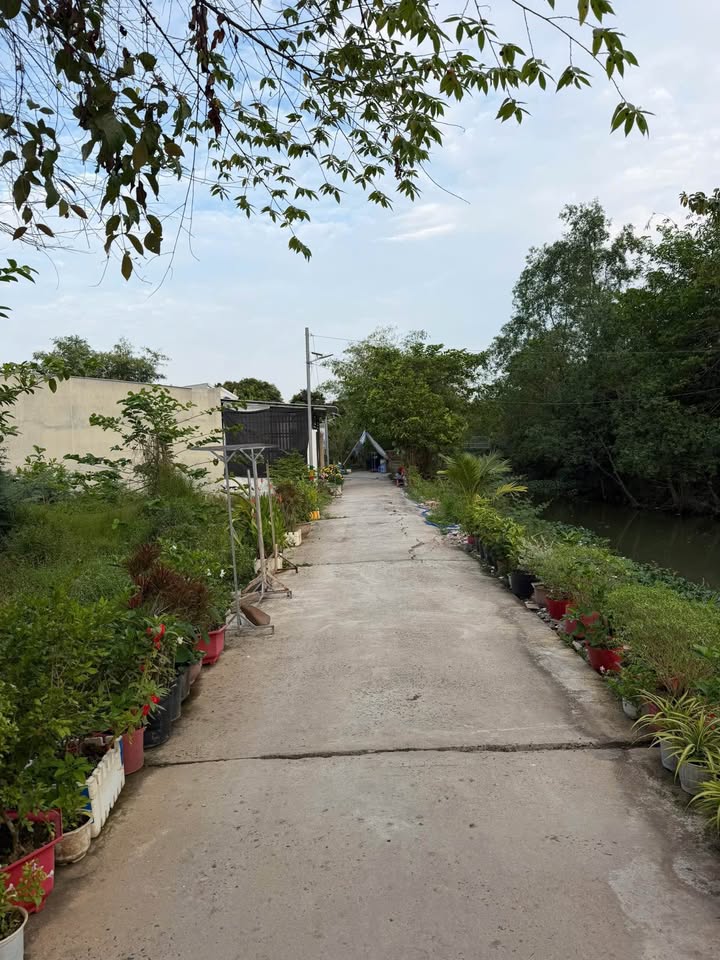 Bán đất mặt tiền sông Mỹ Ngãi, Cao Lãnh 125m² - Giá 620 triệu