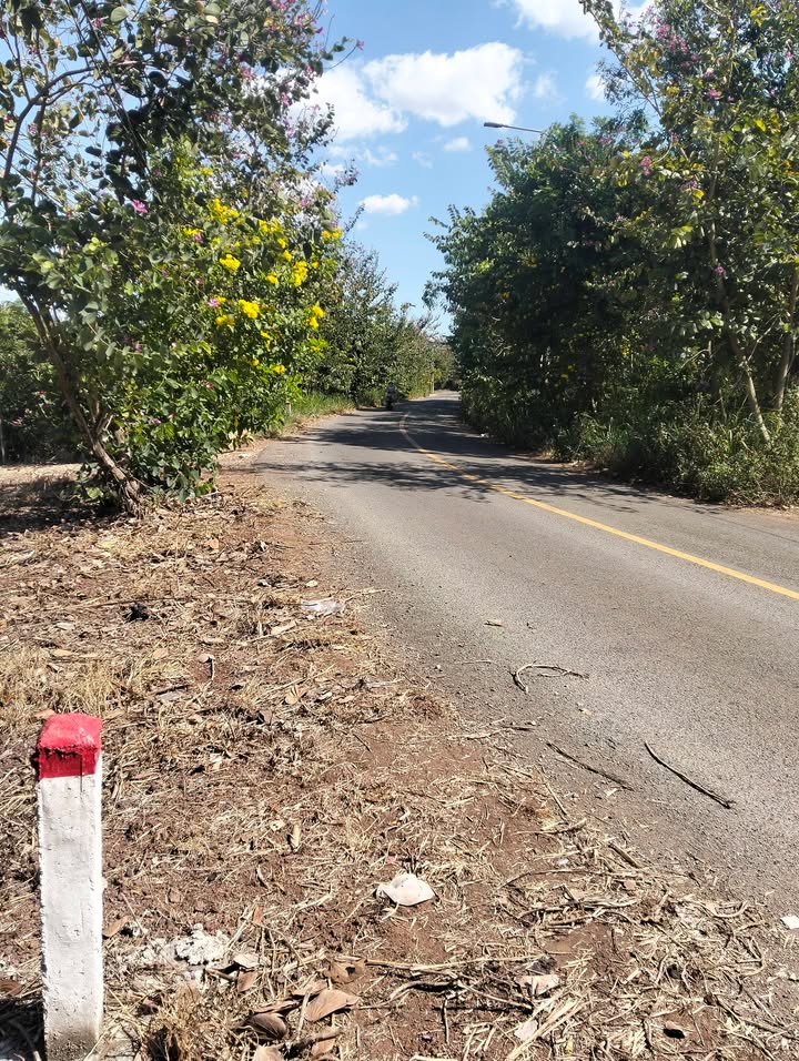 Đất nền Ấp 6 Xuân Tây Cẩm Mỹ 5000m² – Sổ đỏ chính chủ