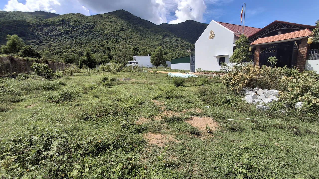 Đất Nền Diên Khánh 544m² - Sổ Đỏ Rõ Ràng, Giá Đầu Tư 3.8 Tỷ