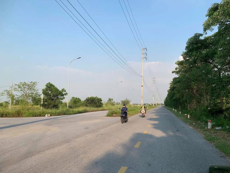 Bán đất đấu giá An Lâm Nam Sách 118m² giá 3 tỷ - Lô góc kinh doanh!