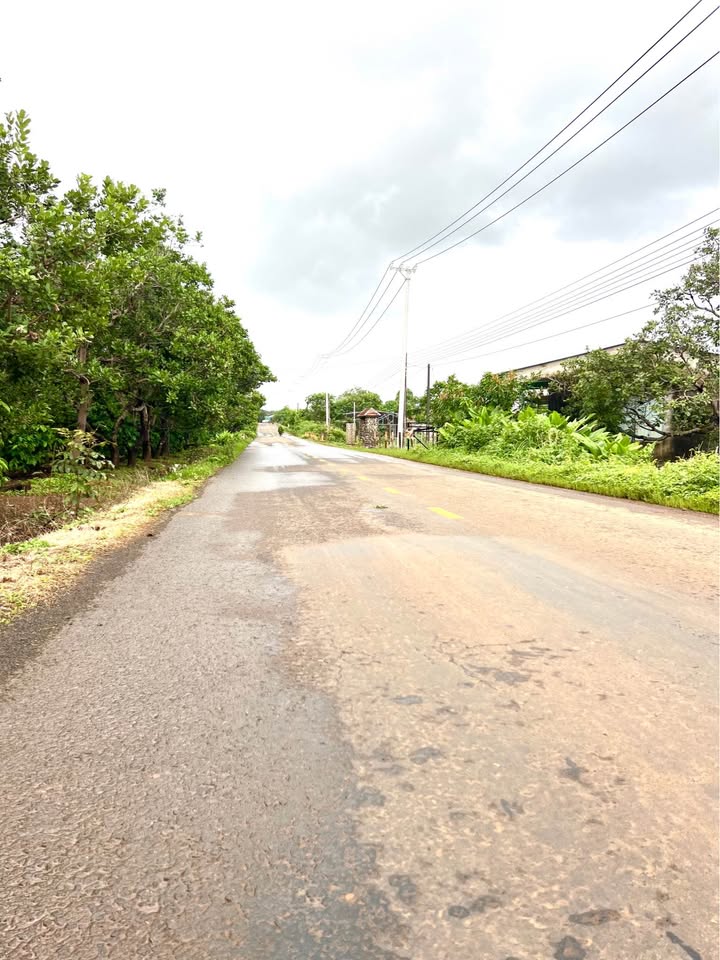 Đất nền Ia Tô, Ia Grai 280m² giá 420 triệu - Tiềm năng tăng giá vượt trội!