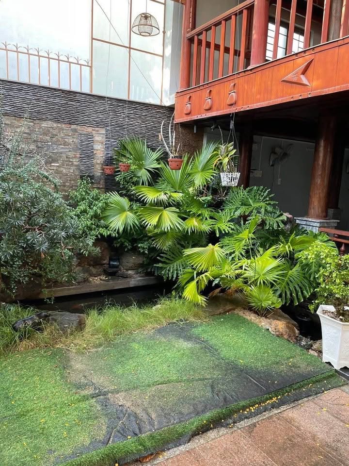 Nhà Gỗ Mặt Tiền Kinh Doanh Nguyễn Trọng Trì, Quy Nhơn - 167m² Giá 6.5 Tỷ