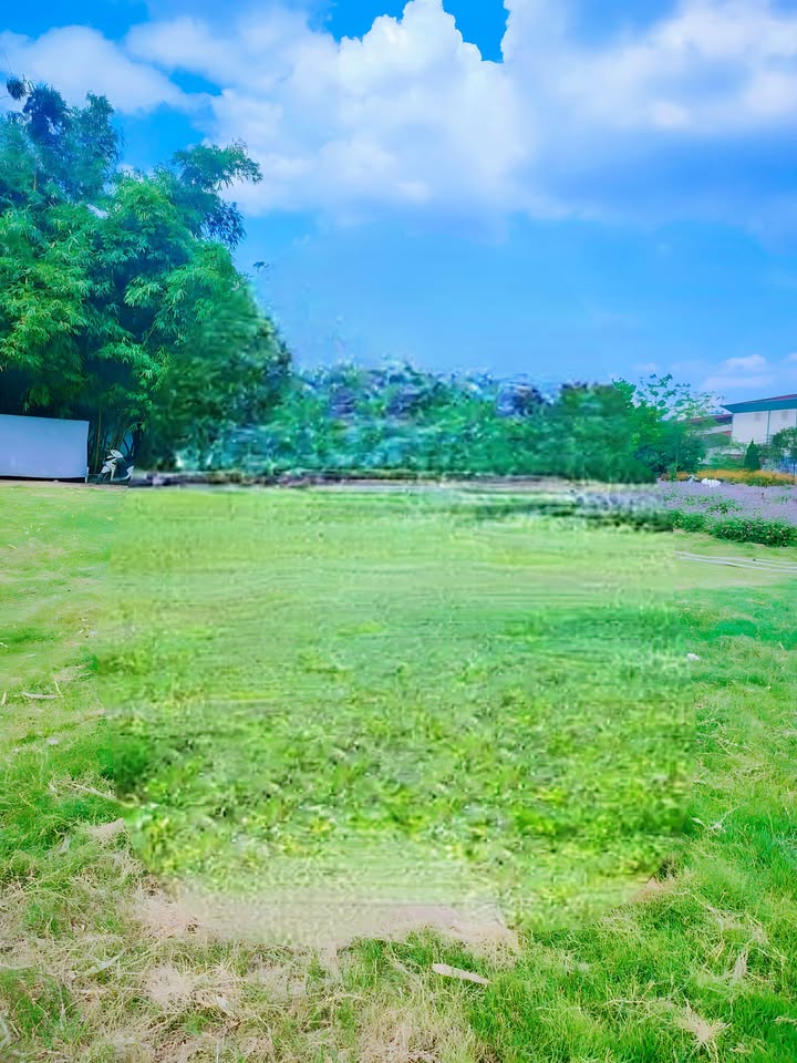 Nhà phố Lê Hữu Thọ Hoàng Mai 275m² - Vị trí vàng, kinh doanh ngay!