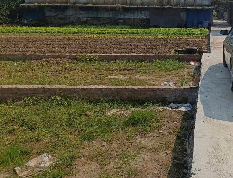 Đất nền An Khánh, Hoài Đức hơn 500m² - Xe công đỗ cửa, đầu tư sinh lời!