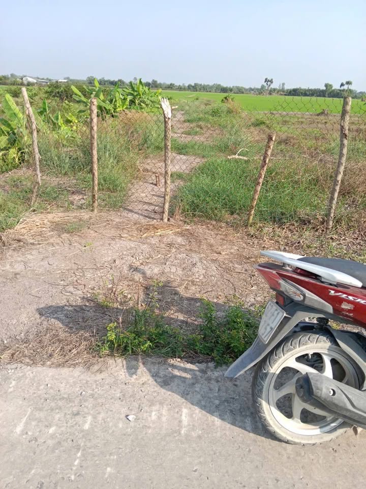 Đất Nền 547m² Tân Đông, Thạnh Hóa - Sổ Hồng Sẵn, Giá 550 Triệu