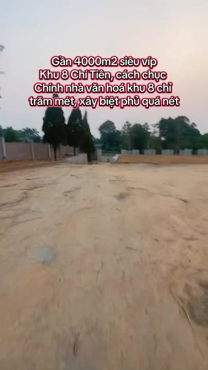 Đất Vườn Chí Tiên Việt Trì 4000m² - Nghỉ Dưỡng Lý Tưởng!