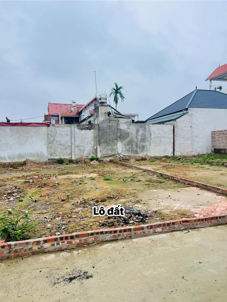 Đất nền Đan Phượng, Hà Nội 86m² - Tiềm năng tăng giá vượt trội!