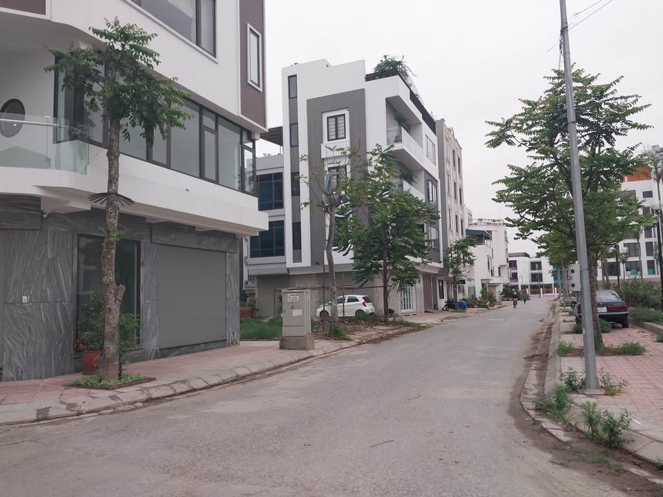 Đất tái định cư Ngọc Thụy 50m² - Sổ đỏ chính chủ, kinh doanh đỉnh!