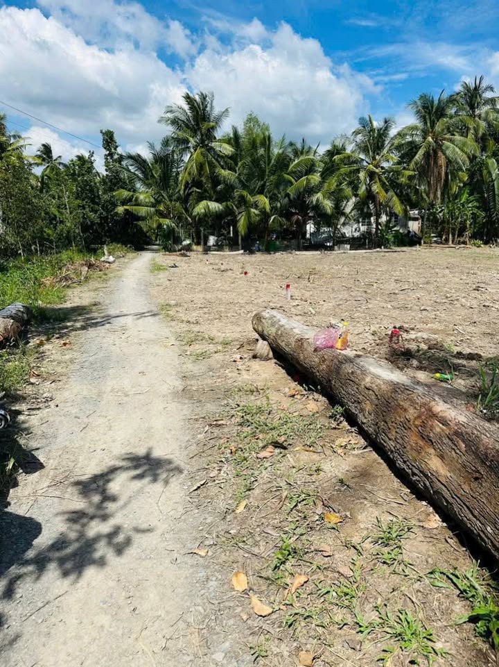 Đất nền Hòa Thạnh, Tam Bình 193.8m² - Sổ đỏ chính chủ!