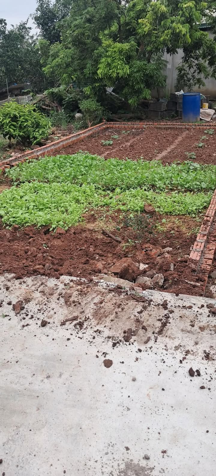 Đất nền 40m² Kim Sơn, Gia Lâm chỉ 2 tỷ - Sổ đỏ chính chủ!