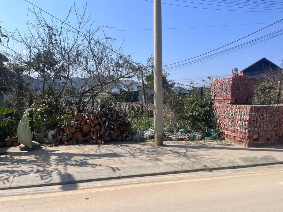 Đất nền Mộc Châu – Lô góc 260m² view đồi chè – Đầu tư sinh lời