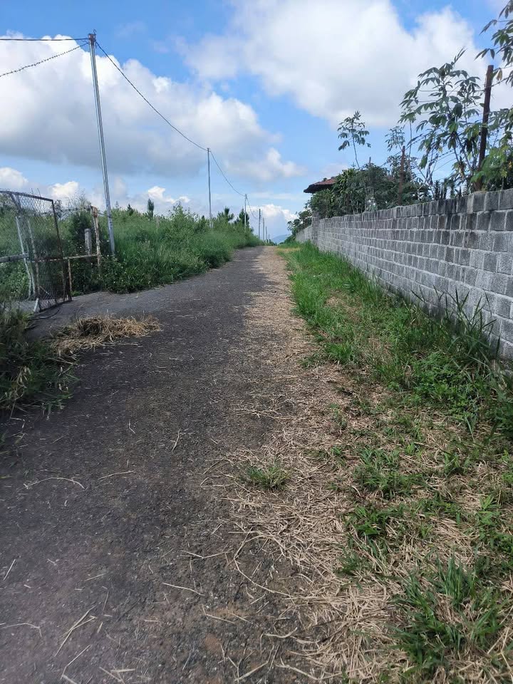 Đất vườn Phường 3 Bảo Lộc 8.359m² giá 17.5 tỷ - Sổ đỏ chính chủ