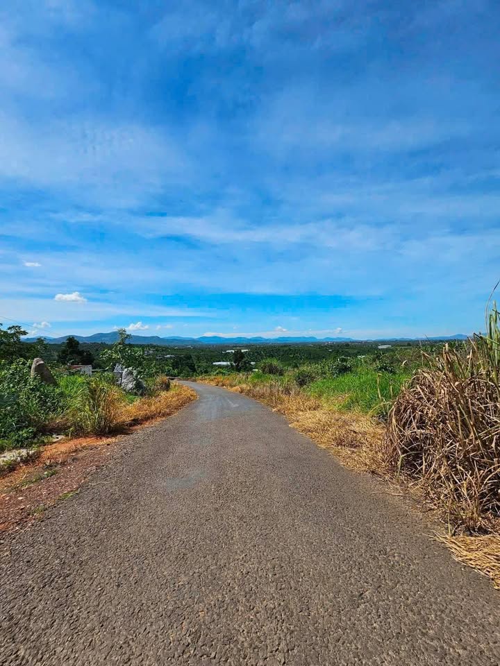 Đất Nền 165m² Xã Lộc Đức, Bảo Lâm - Sổ Đỏ Chính Chủ, Giá 450 Triệu