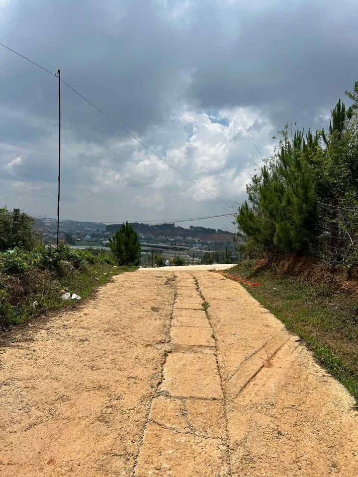 Đất nền Phường Lang Biang Đà Lạt 526m² - Sổ đỏ chính chủ, view đẹp!