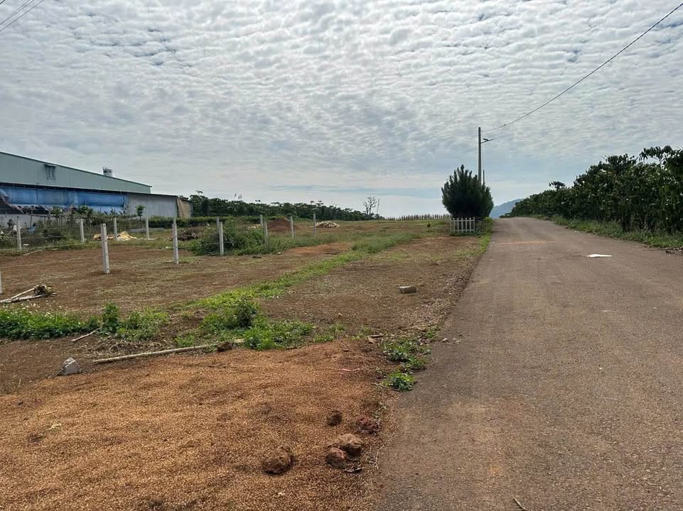 Đất nền Lộc Ngãi, Bảo Lâm 280m² giá 779 triệu - Tiềm năng tăng giá!