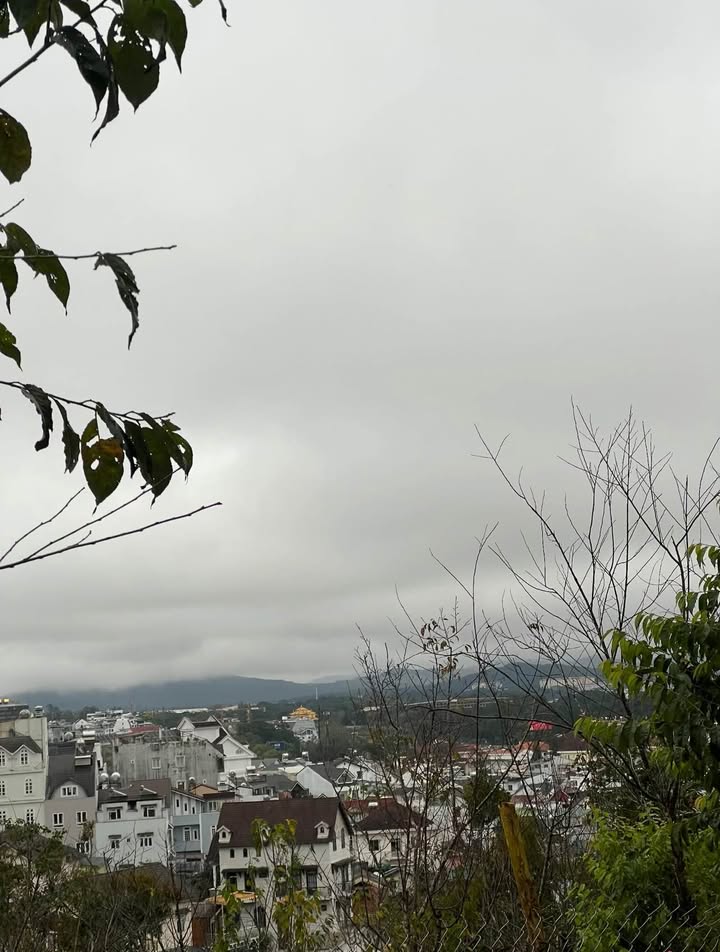 Đất nền Triệu Việt Vương 266m² View đỉnh - Xây dựng tự do!