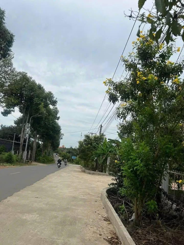 Đất nền Phú Thịnh, Tân Phú 5300m² - Sổ đỏ chính chủ, tiềm năng tăng giá!