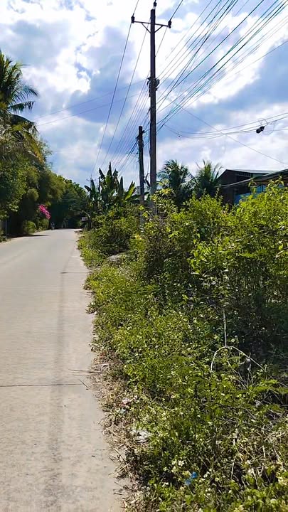 Đất nền Phú Hòa, Tân Phú 870m² - Sổ đỏ chính chủ