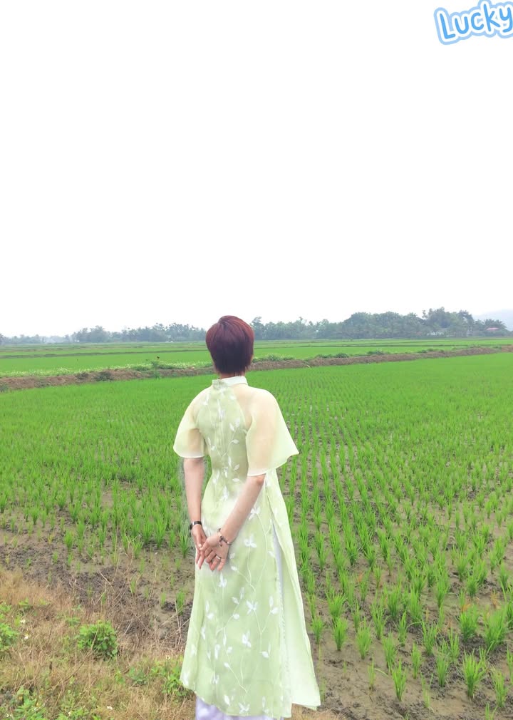 Đất nền Đạ K' Nàng, Đam Rông 10800m² view lúa - Sổ đỏ chính chủ