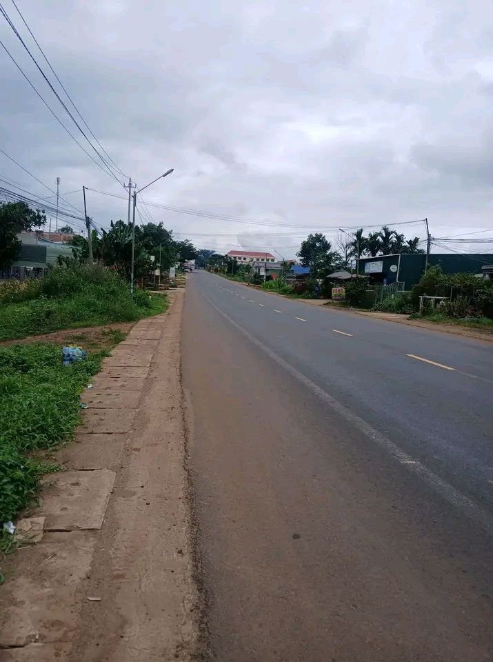 Đất Mặt Tiền Quốc Lộ 14 Đắk Mil 1320m² - Vị Trí Kinh Doanh Đắc Địa