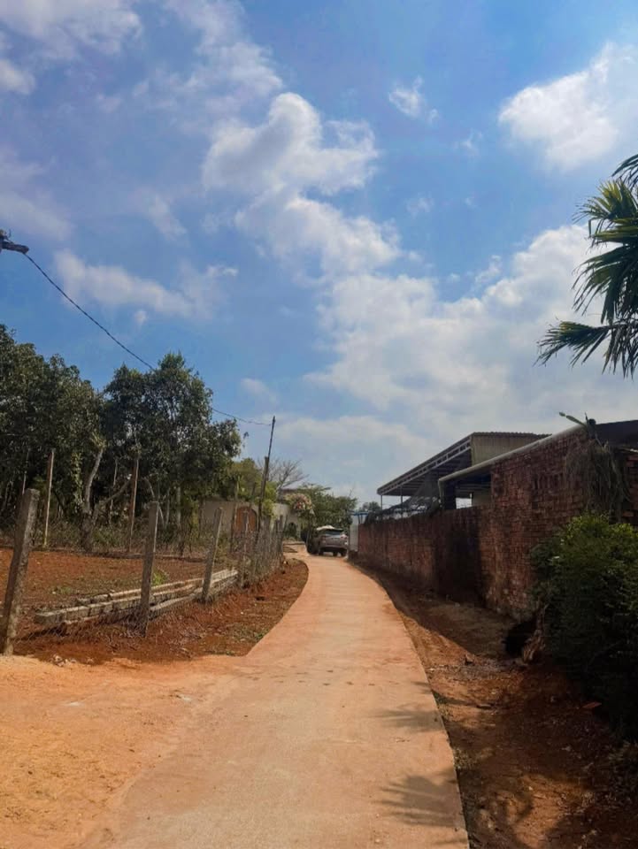 Đất nền 100m² sổ hồng chính chủ - Buôn Hồ, Đắk Lắk - Giá 1.3 tỷ