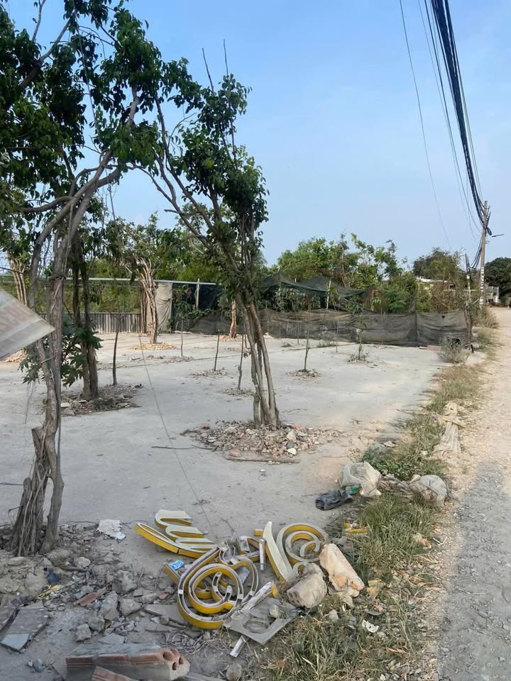 Đất nền Lê Thị Ngay Bình Chánh 80m² giá 620 triệu - Đường to ô tô