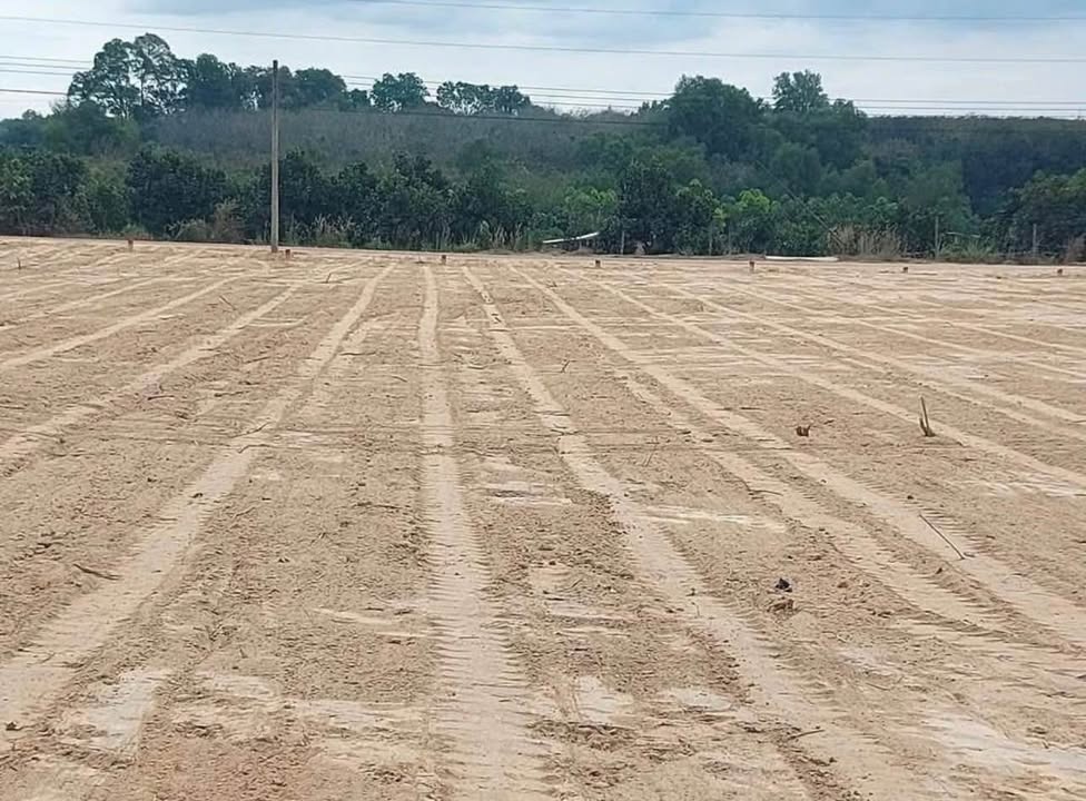 Đất nền Chánh Phú Hòa, Bến Cát 390m² - Tiềm năng tăng giá vượt trội!